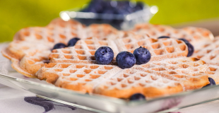 Stand gauffres pour Arbre de Noël !
