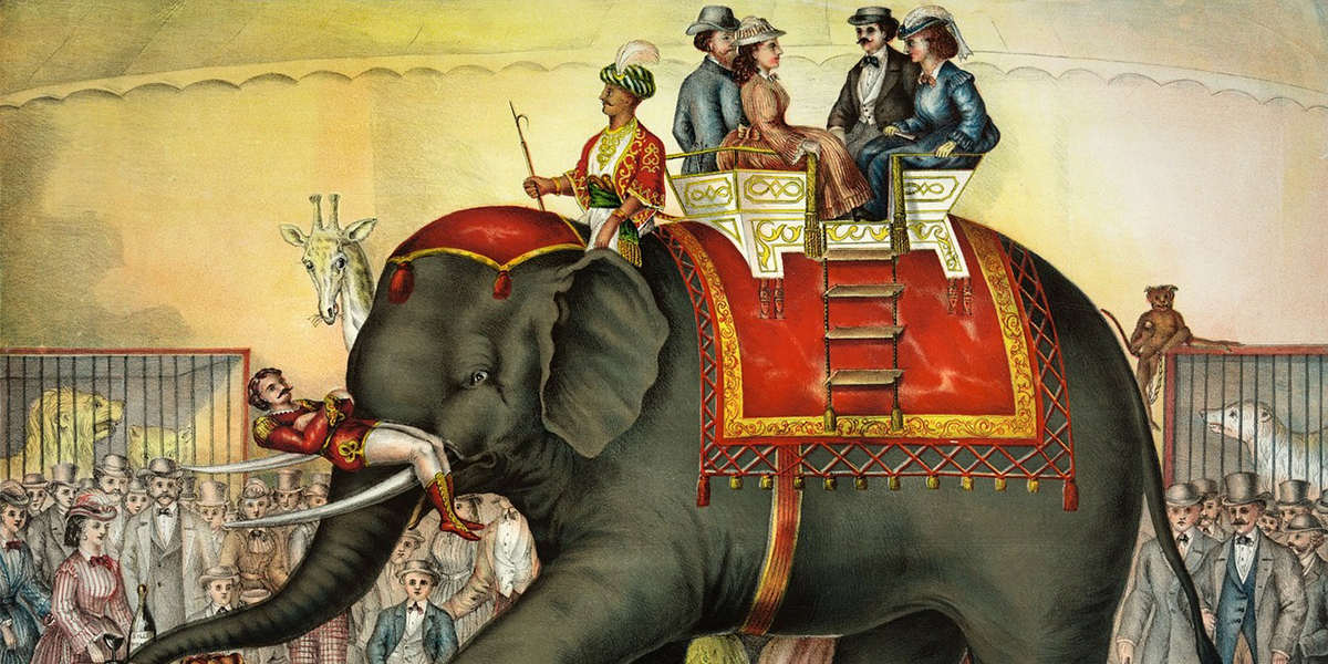 Petite histoire du cirque d'hier à aujourd'hui !