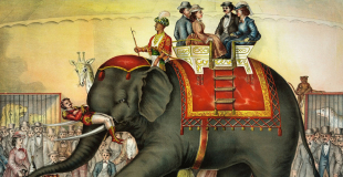 Petite histoire du cirque d'hier à aujourd'hui !