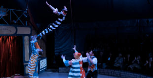 Cirque pour spectacle de Noël